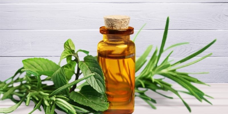 Tea Tree Oil