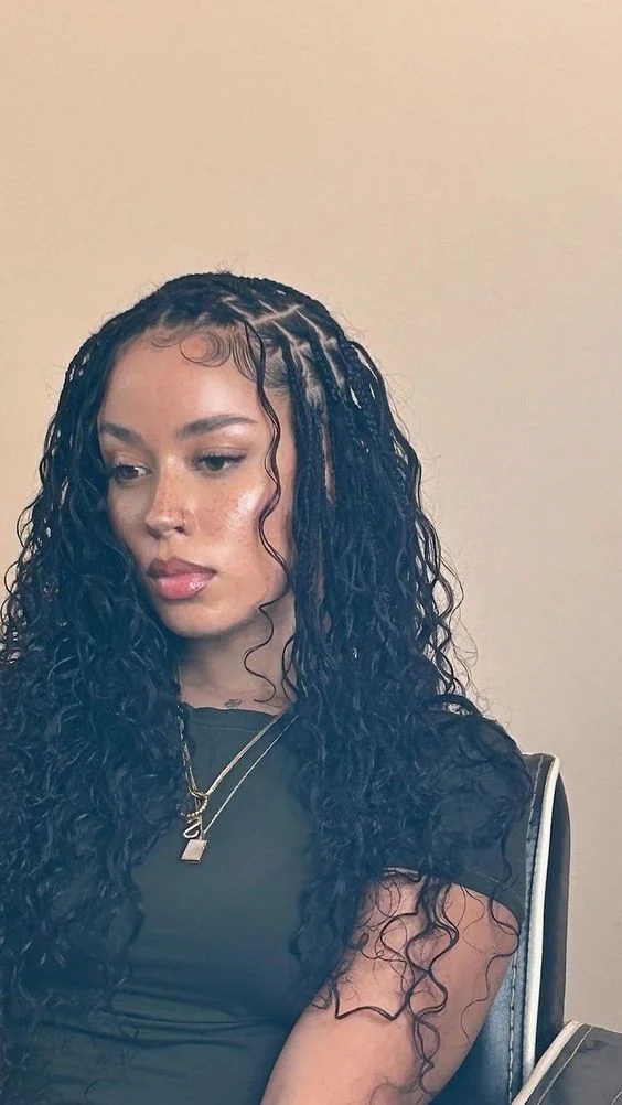 Box Braids Hairstyles
