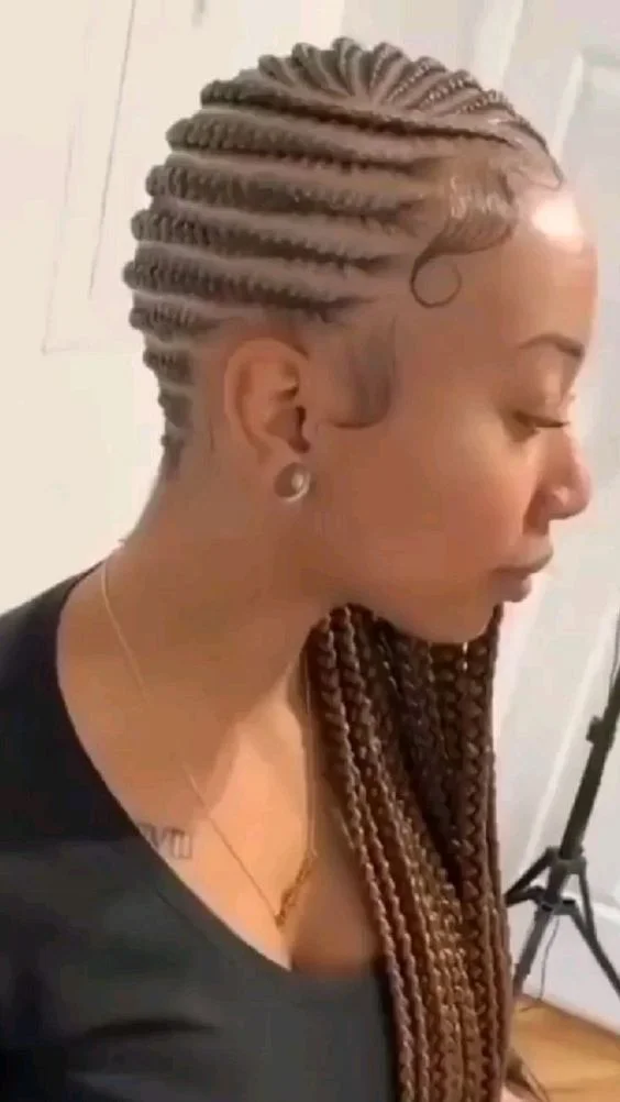 Lemonade Braids hairstyles for black girls