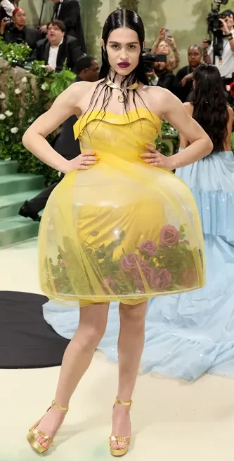 Amelia Gray Hamlin height