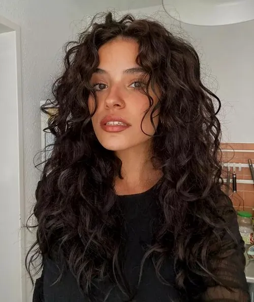 Butterfly Haircut for Curly Hair